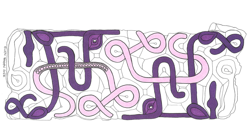 a line drawing of a meandering pattern with two serpentine animals colored in purple and a ribbon in pink