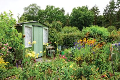a painted shed in a country garden with lots of flowrrs