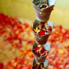 A decorative rain chain in an American garden