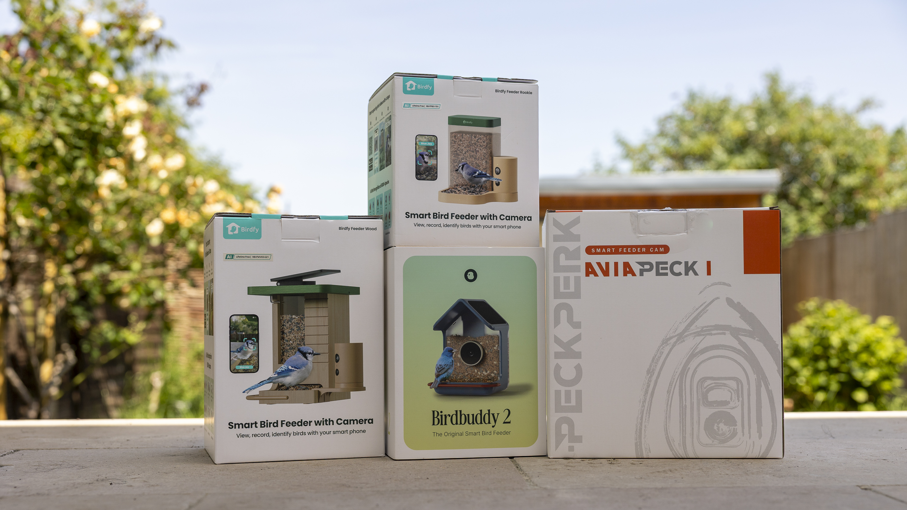 Four boxed bird feeder cameras in a sunny garden