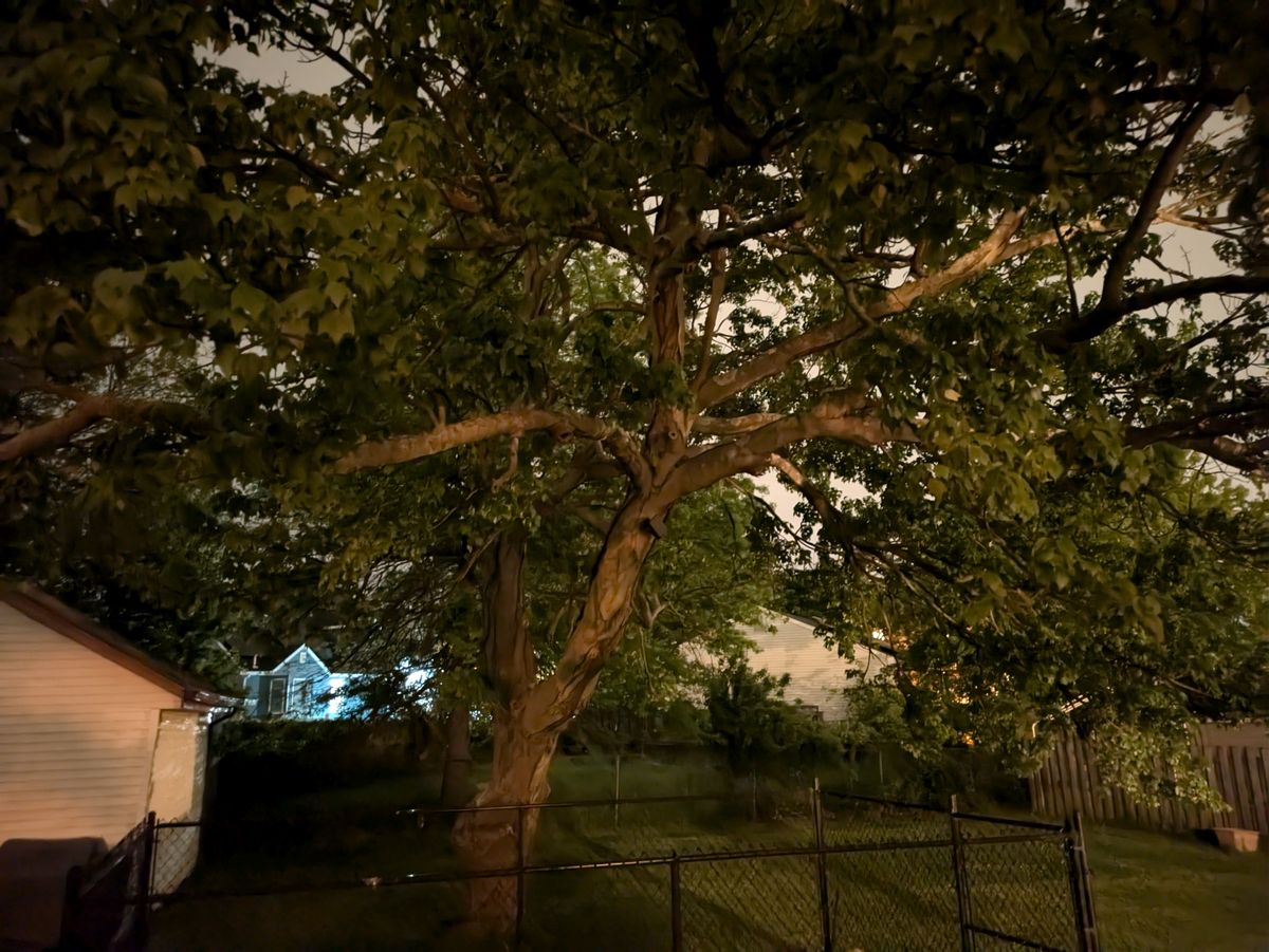 Google Pixel 8a camera sample.