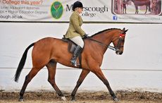 holly-rowbottom.jpg