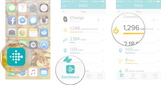 Launch Fitbit from your Home screen, tap on the dashboard tab, and then tap on the goal you want to see.