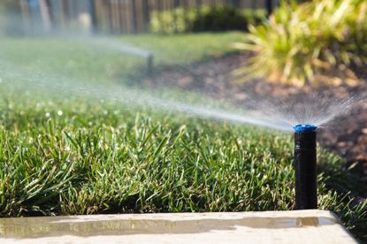 9. Drain your sprinkler system