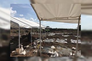 This historic cemetery was discovered during a construction project in Sugar Land, Texas.