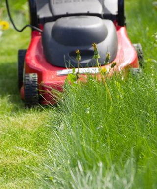 mowing a lawn