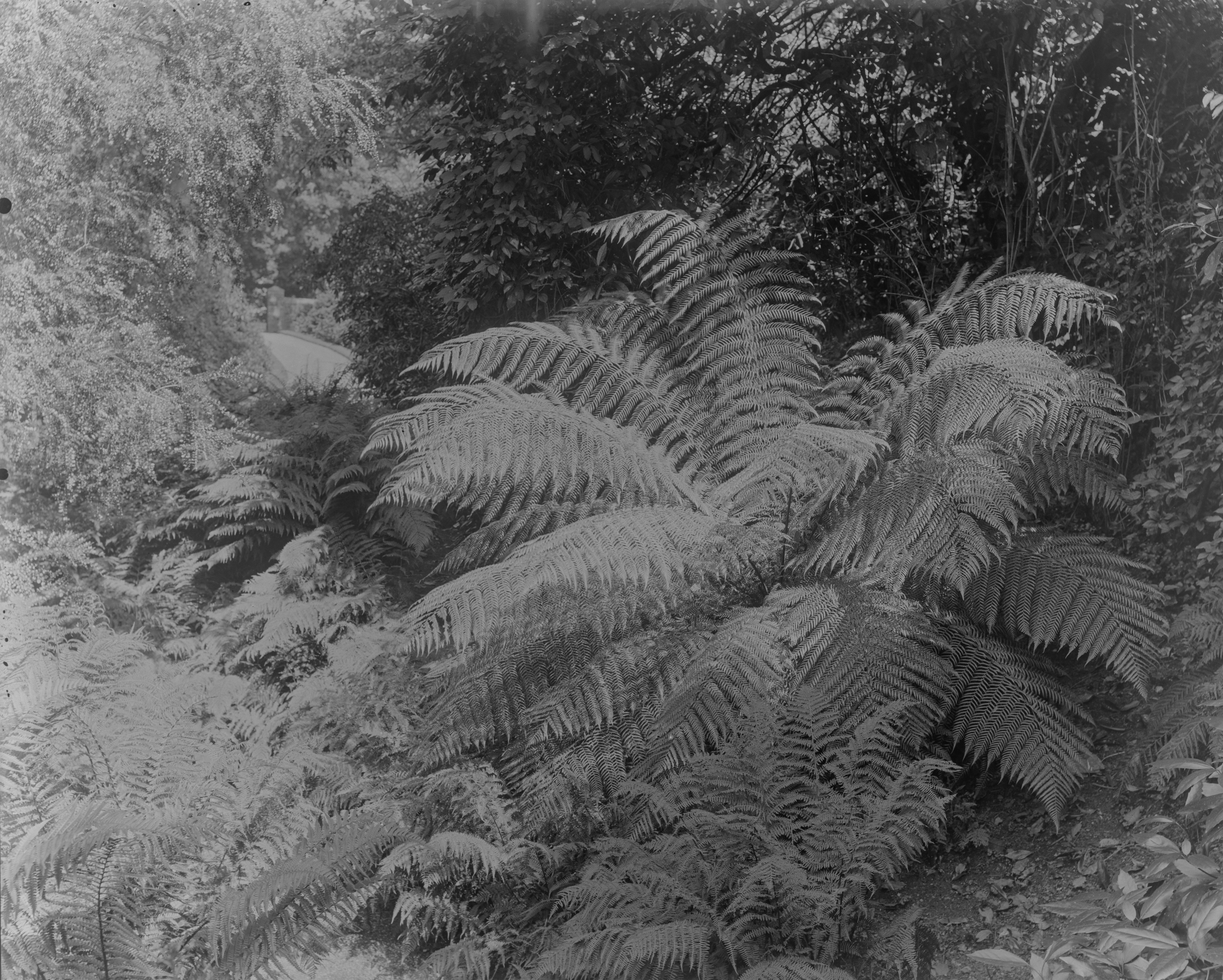 Black and white photographs or a palladian-style house