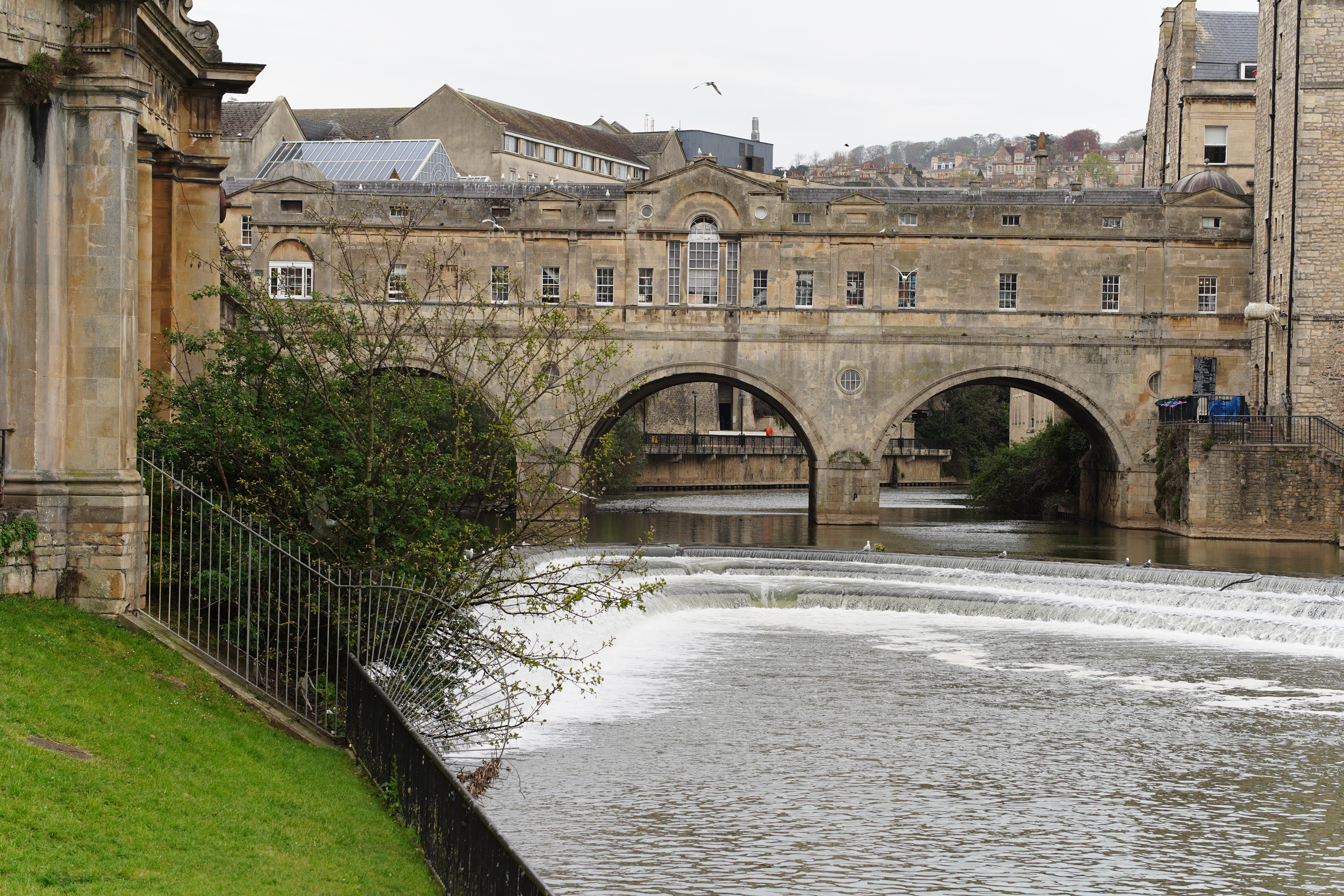 Meike AF 85mm f/1.8 SE II sample image