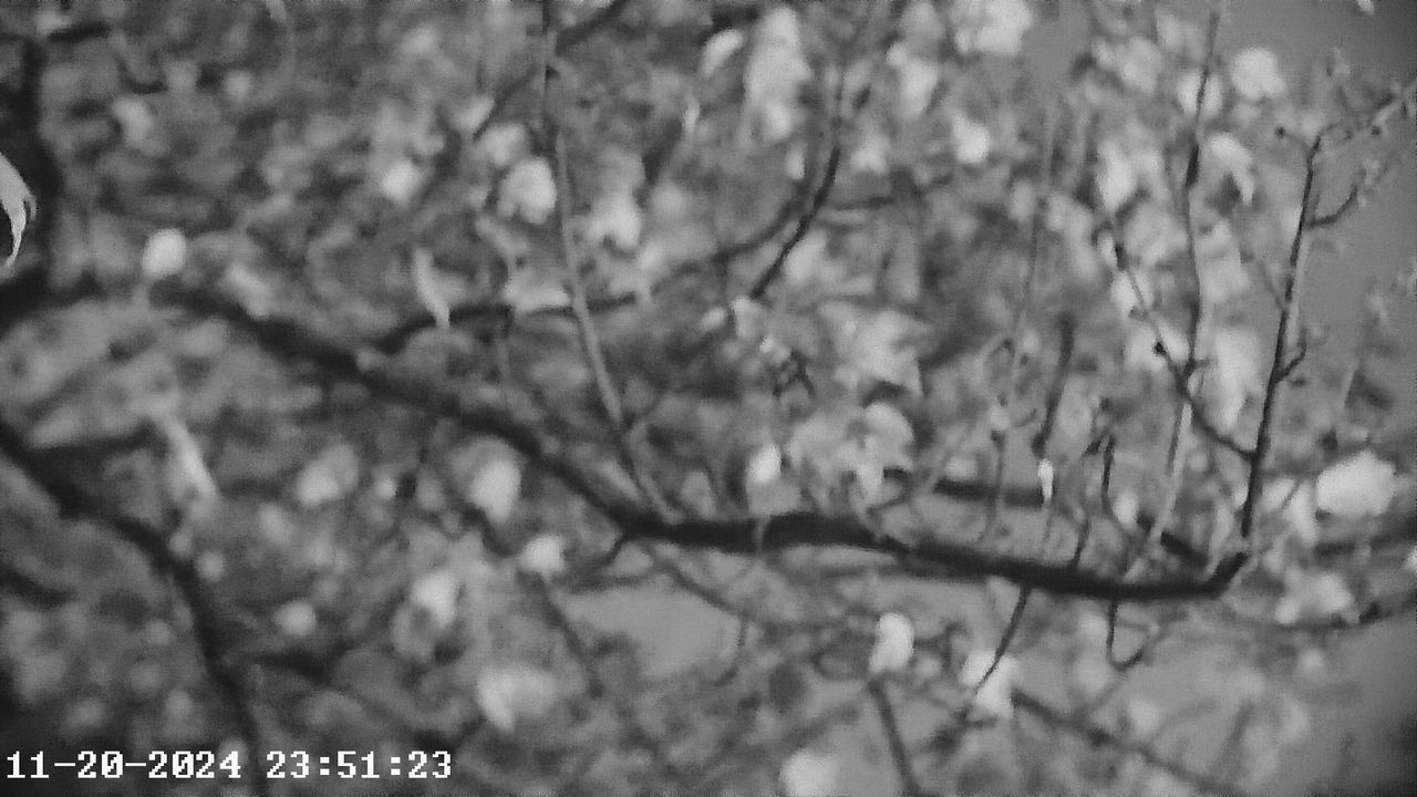 Akaso Seemor 200 camera samples.