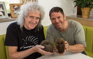 Saving Britain's Hedgehogs