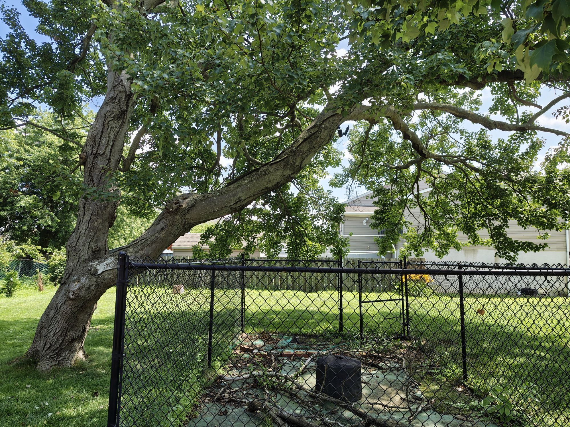 Motorola Razr Ultra 2025 camera sample.