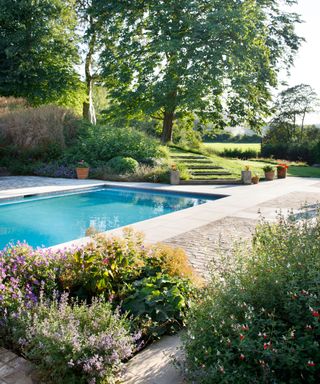 pool with surrounding planting and steps up sloping garden