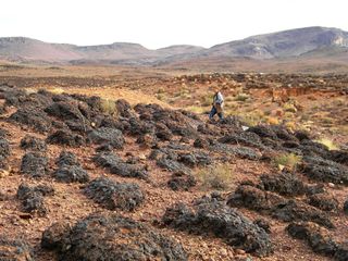 Janet Siefert walks in a field of fossilized stromatolites, evidence of an ancient lagoon.