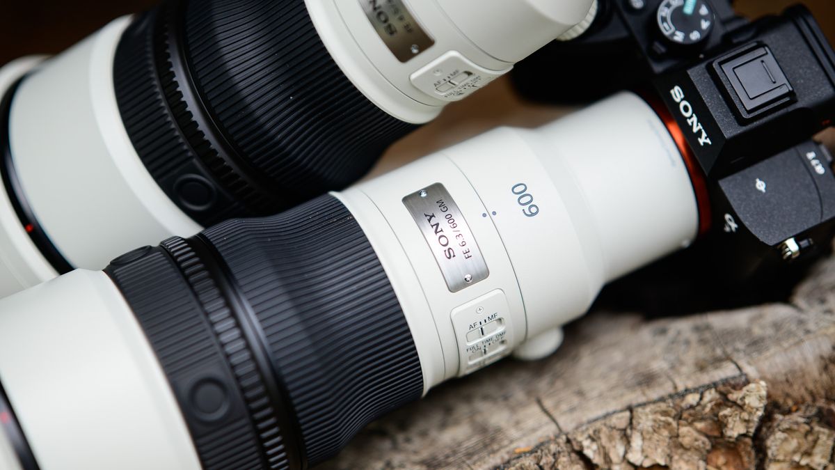 Sony FE 400mm F4.5 GM OSS and Sony FE 600mm F6.3 GM OSS super-telephoto lenses on a tree stump, with the 600mm attached to a Sony A7R V camera