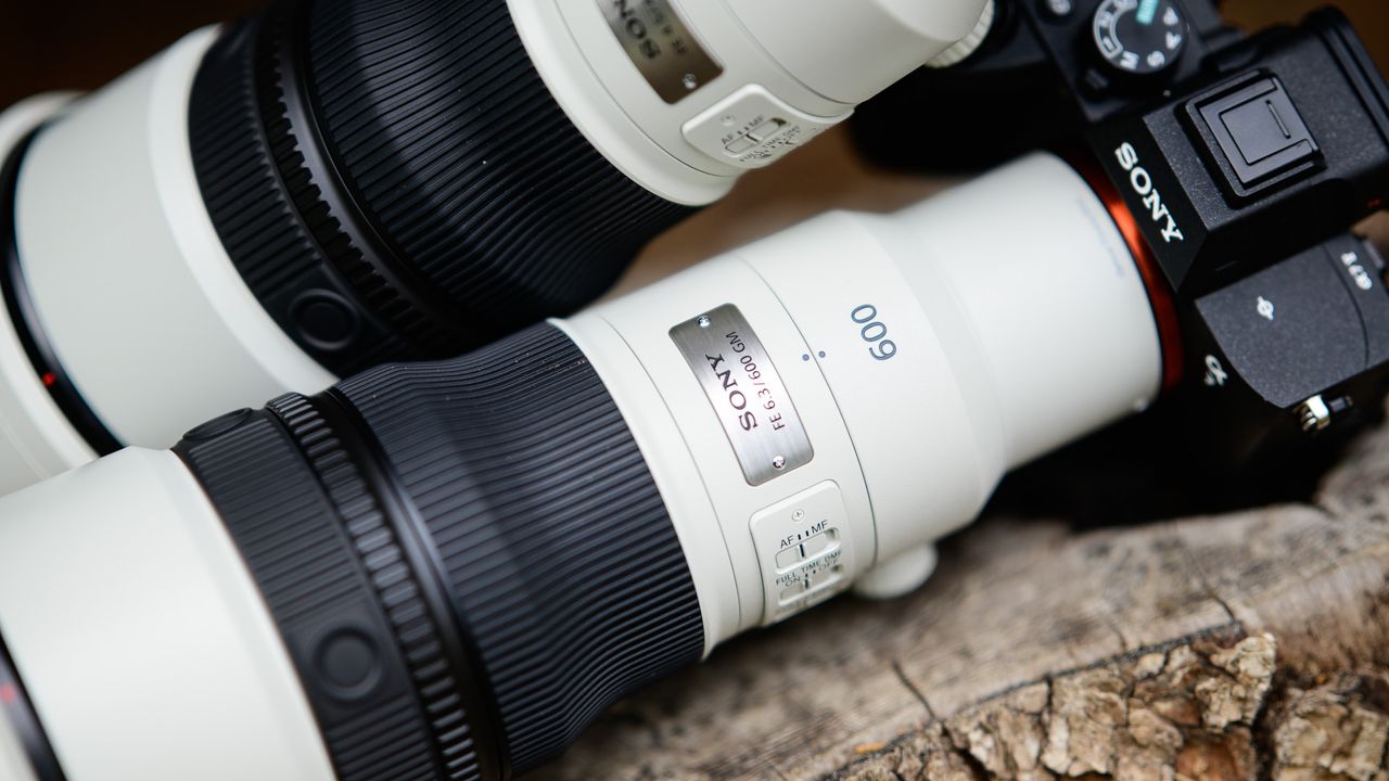 Sony FE 400mm F4.5 GM OSS and Sony FE 600mm F6.3 GM OSS super-telephoto lenses on a tree stump, with the 600mm attached to a Sony A7R V camera