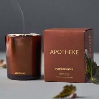 Apotheke Pumpkin Ginger Classic Scented Boxed Candle