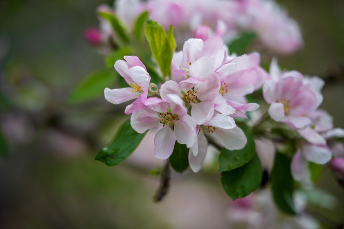 Sony FE 50-150mm f/2 G Master example shot