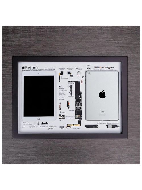 iPad Mini (1st Generation)