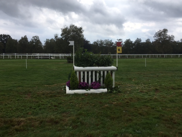 Fence 17b