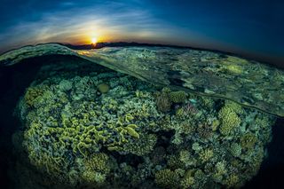 "Coral reef [at] sunset, Egypt. [This series] is the result of several journeys that took me to destinations around the world, mostly for scuba diving magazines."