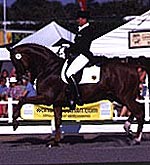 4DAFCE32-9AC8-4D27-8824-B0278CCE1A19.jpg