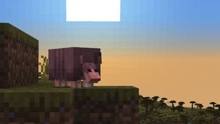 Armadillo on a hill in front of a sunset in Minecraft