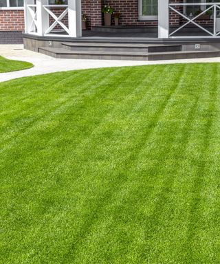 A beautiful, green lawn in the backyard of a house