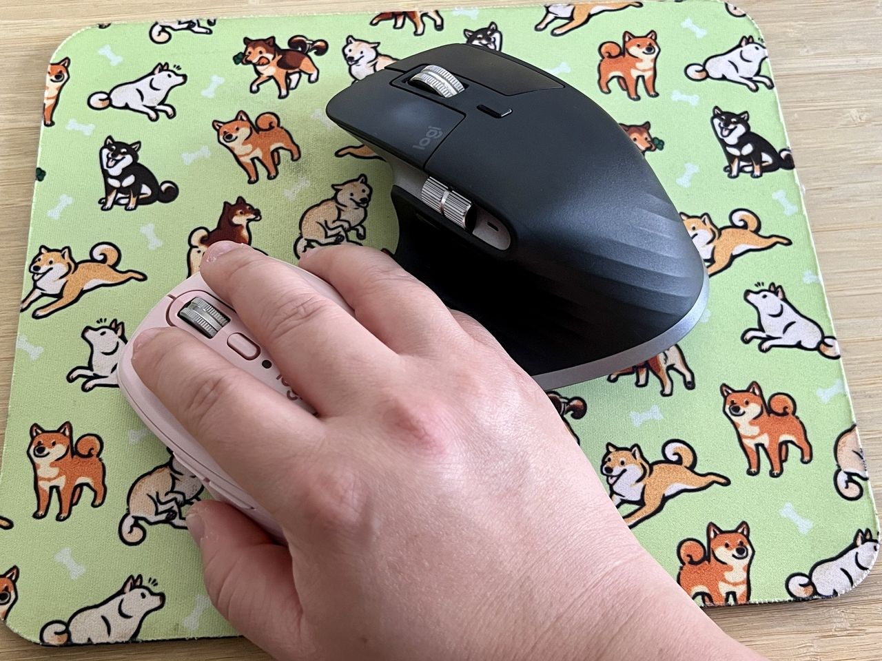 Logitech Mx Anywhere 3 Rose Hand Compare Mx Master