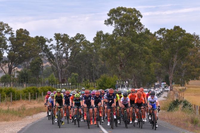 The bunch &ndash; all together &ndash; enjoys the scenery on stage 1 of the 2019 Women's Tour Down Under