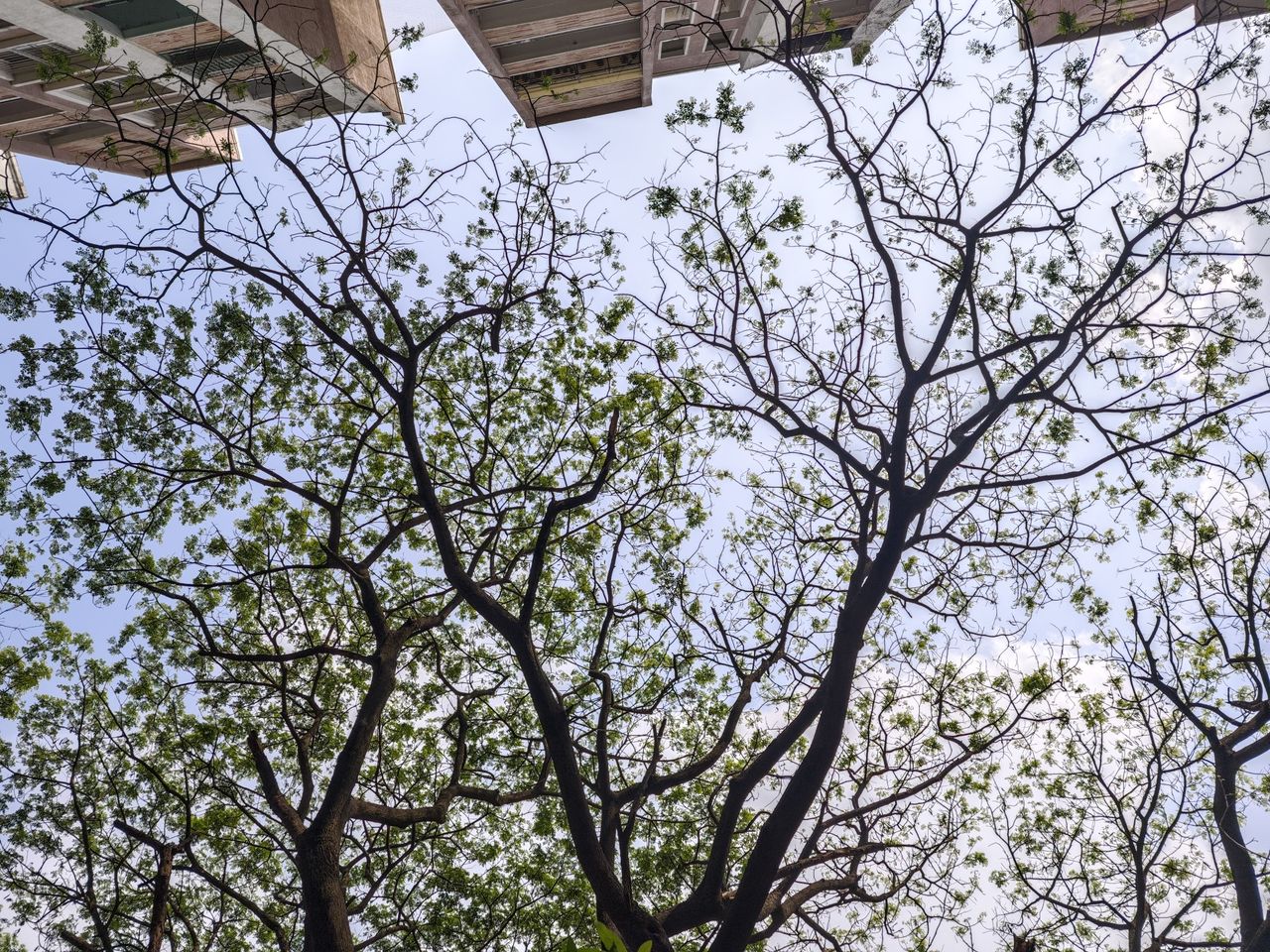 Xiaomi 14 camera shots