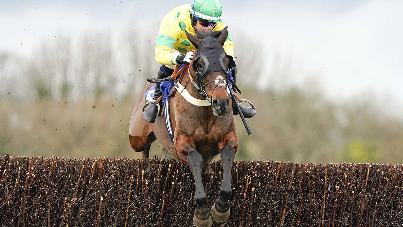 WINCANTON, ENGLAND - FEBRUARY 03: Freddie Gingell riding West Approach clear the last to win The Colin Lewis Memorial Open Hunters' Chase at Wincanton Racecourse on February 03, 2022 in Wincanton, England. (Photo by Alan Crowhurst/Getty Images)