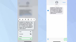 Screenshot on iOS Messages app showing forwarded messaage