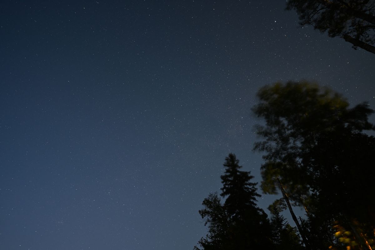 An image taken with the Tamron 12-20mm f/2.8