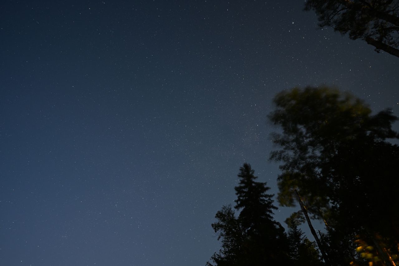An image taken with the Tamron 12-20mm f/2.8