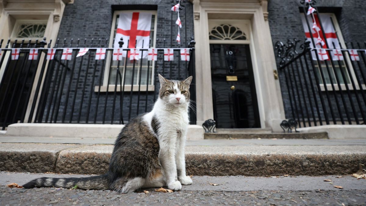 Larry the cat outside number 10 Downing Street