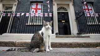 Larry the cat outside number 10 Downing Street