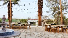 An outdoor area with palm trees and outdoor lights