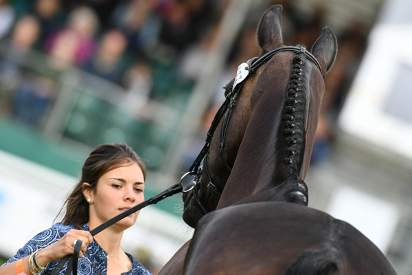 Wed_LRBHT_NP18_72326.jpg