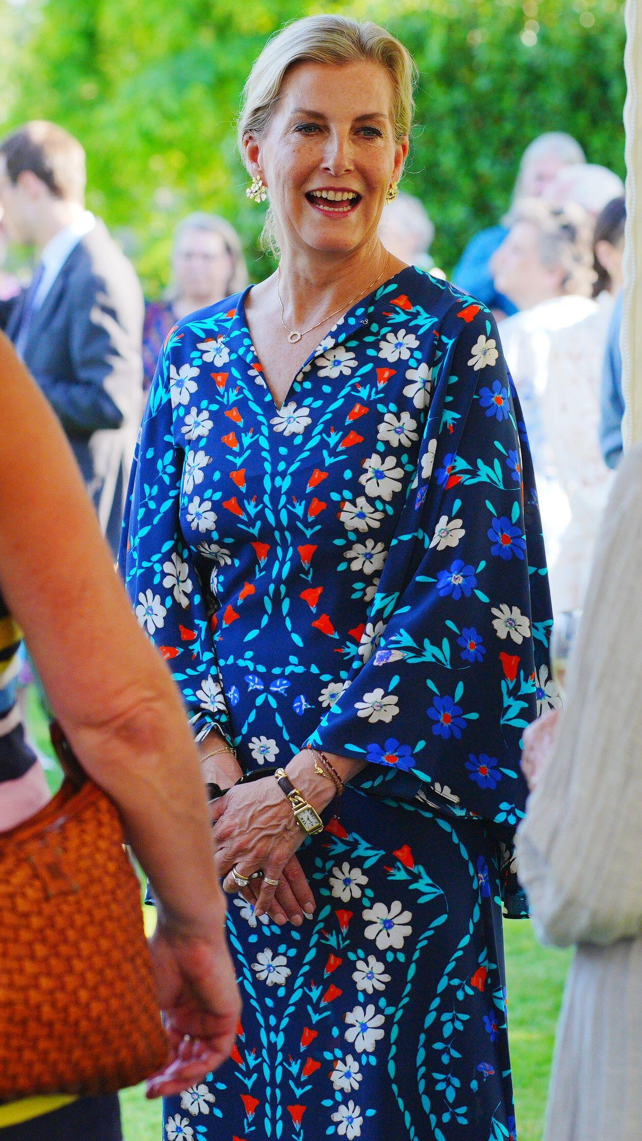Sophie, Duchess of Edinburgh speaks to guests during a NSPCC reception