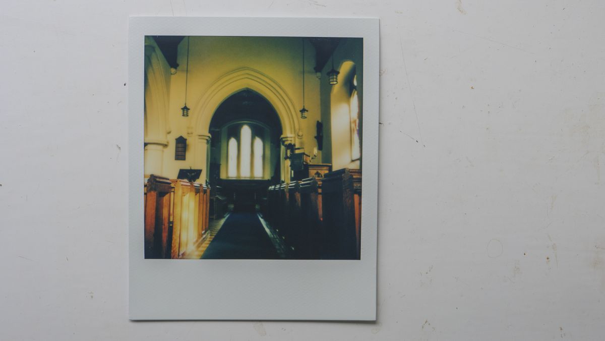 Polaroid Now Plus Sample Image