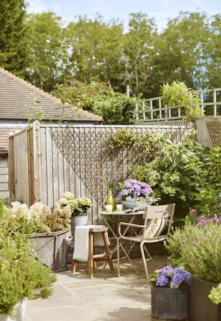 climbing plant support ideas: patio area with pretty table and chairs and colourful plants in pots