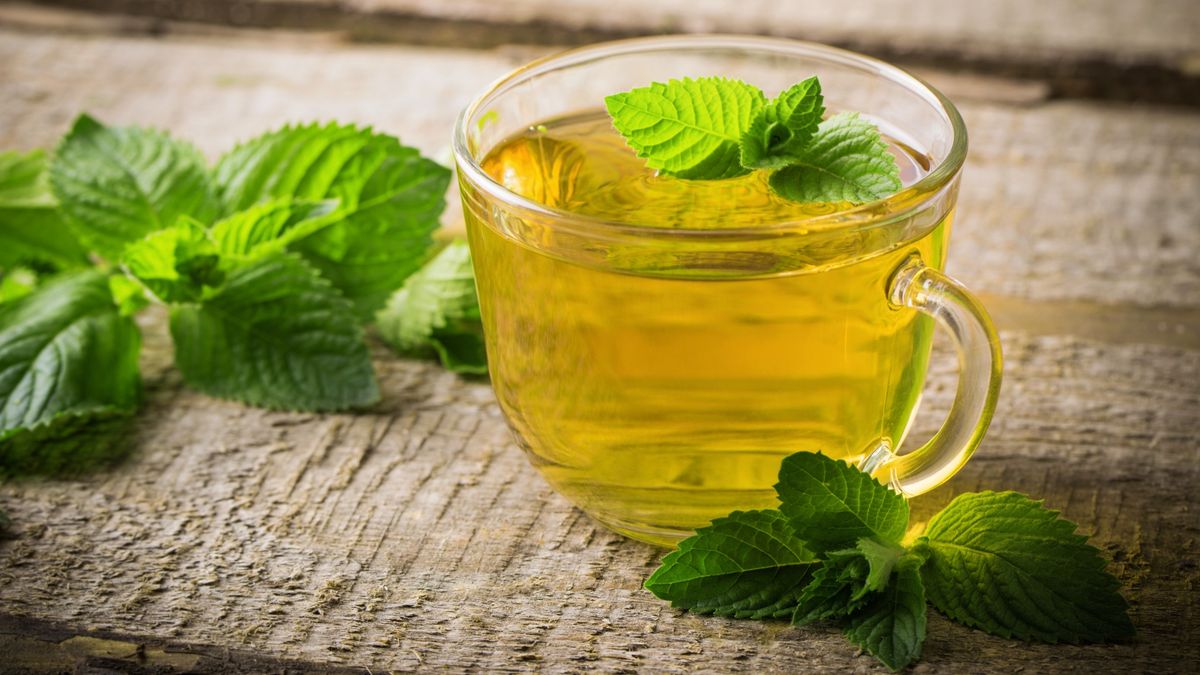 What spices can dogs eat? A vet weighs in PetsRadar