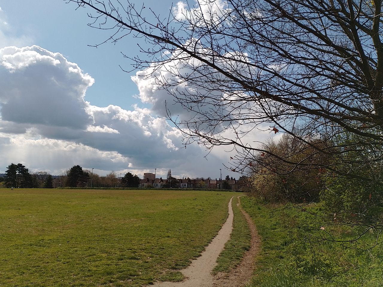A Nokia G21 camera sample