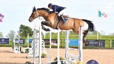 John Whitaker and Equine America Unick Du Francport fly to victory in the CSI2* grand prix at Chard, Somerset.
