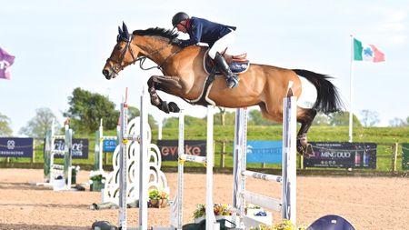 John Whitaker and Equine America Unick Du Francport fly to victory in the CSI2* grand prix at Chard, Somerset.