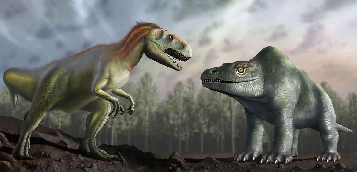 When paleontologists first described &lt;i&gt;Megalosaurus&lt;/i&gt; in 1824, they thought it looked like the humped creature on the right. But now, researchers have deduced that it looks like the dinosaur on the left. 