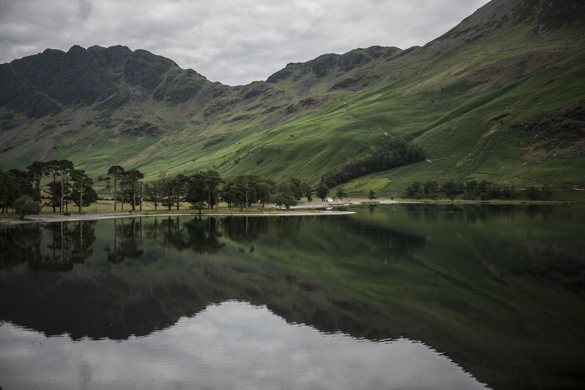 GuruShots - March 2026