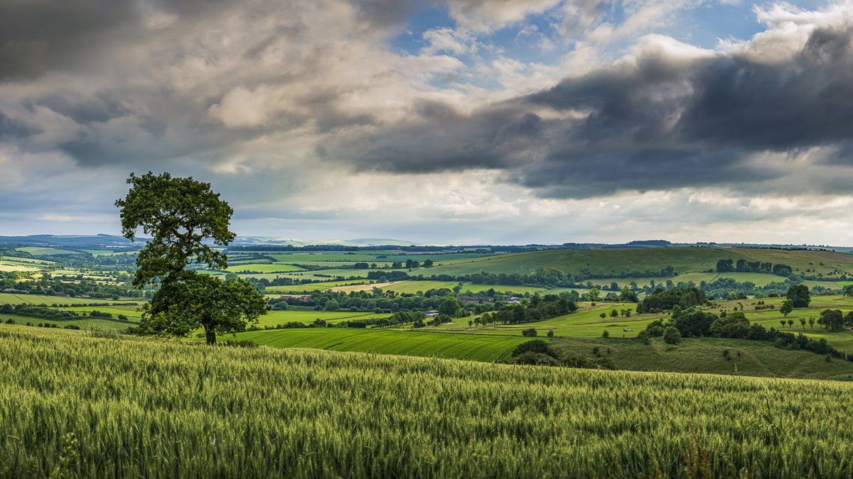 HDR Panorama in Lightroom 