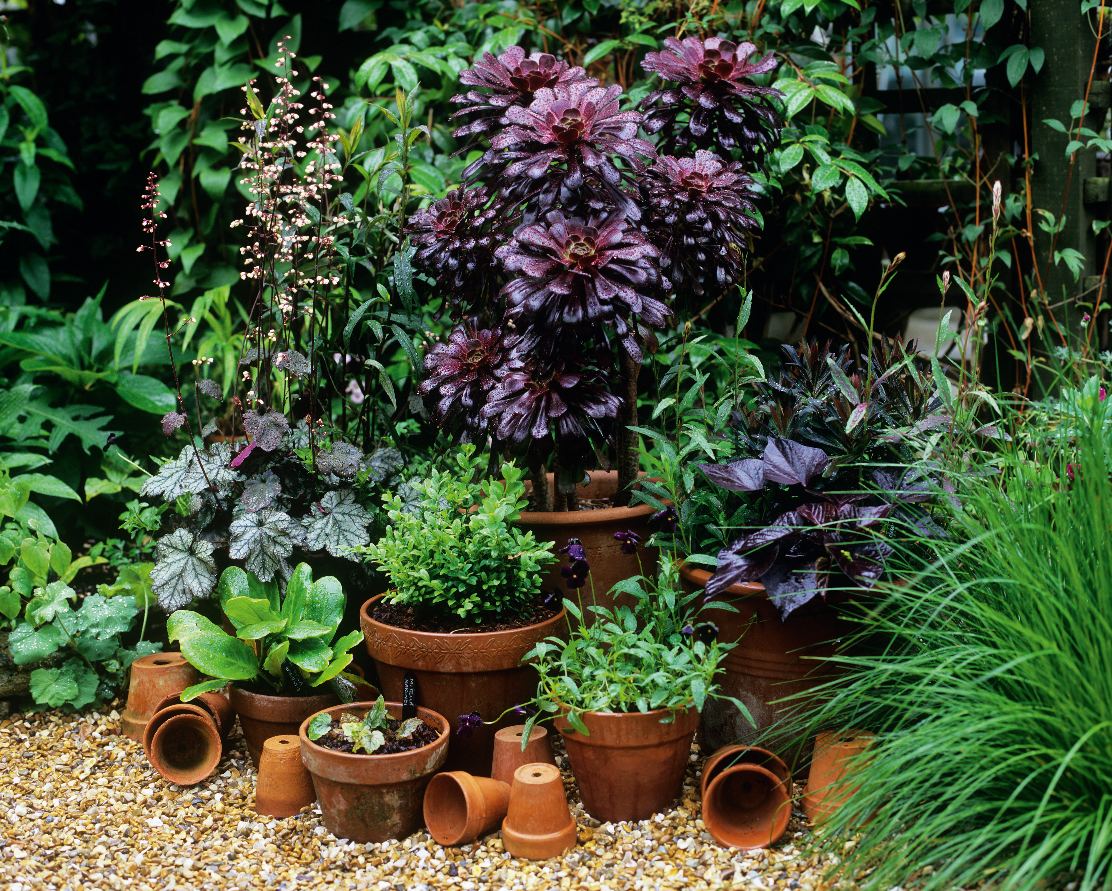 Gardening For Beginners 18 Ways To Get Your Green Space Started