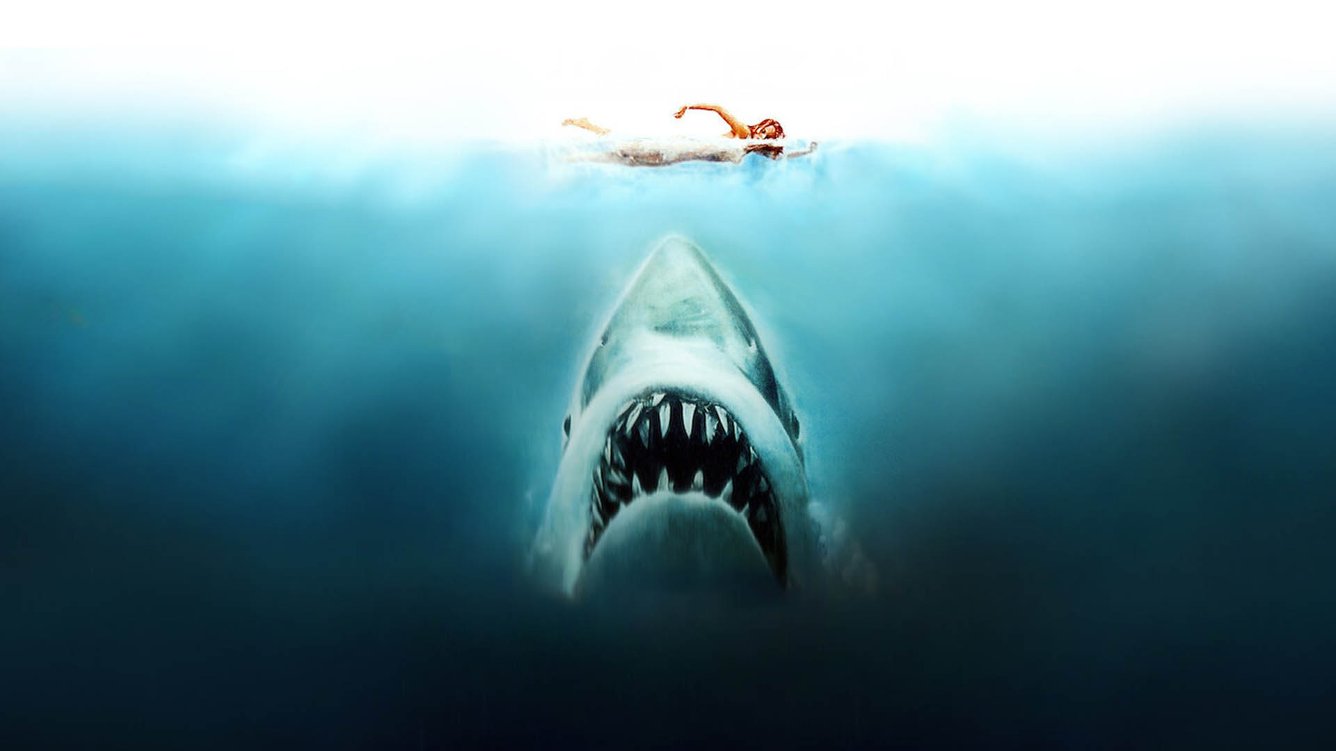 Jaws